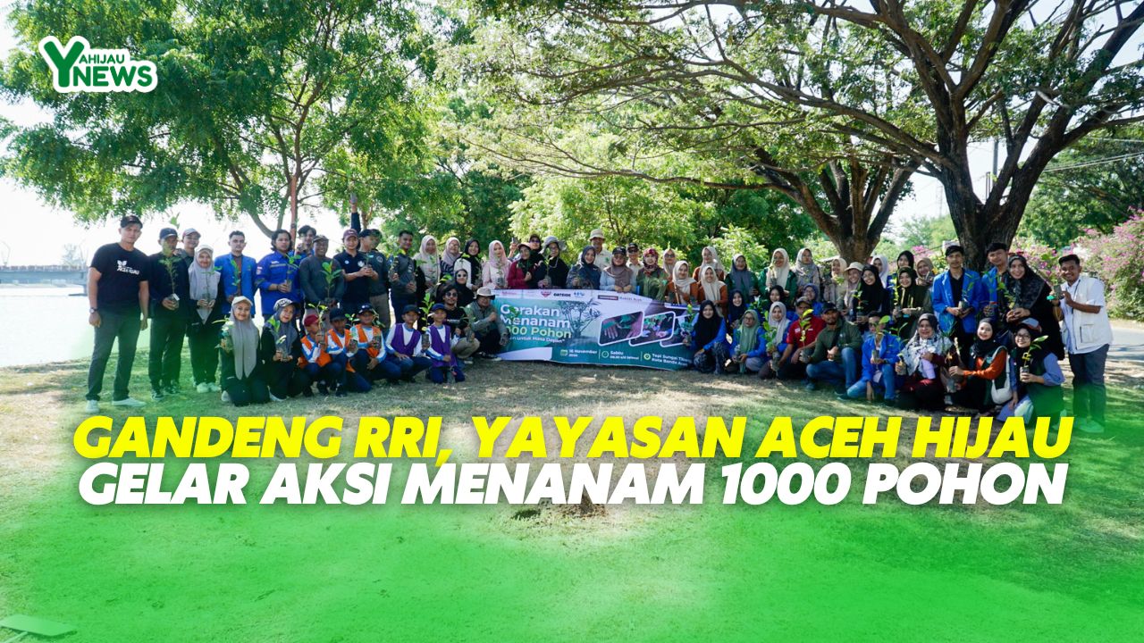 360 Eps. Website - Cover (1)